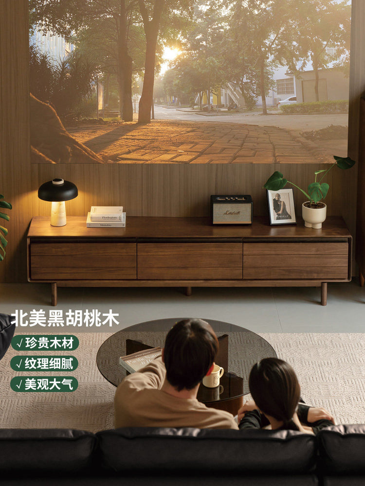 实木电视柜客厅现代简约收纳地柜黑胡桃木电视机柜