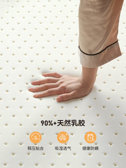 乳胶可折叠0胶水床垫棕垫天然椰棕环保硬垫海绵薄垫