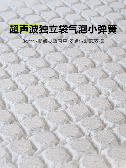 0胶水床垫薄垫卧室气泡弹簧垫学生宿舍硬垫子小气泡