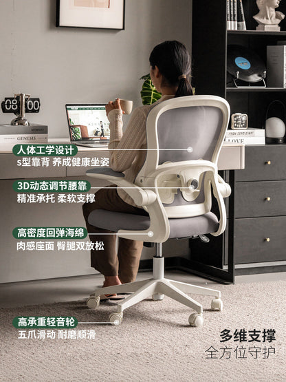 电脑椅书房现代简约办公椅旋转学习椅人体工学椅子