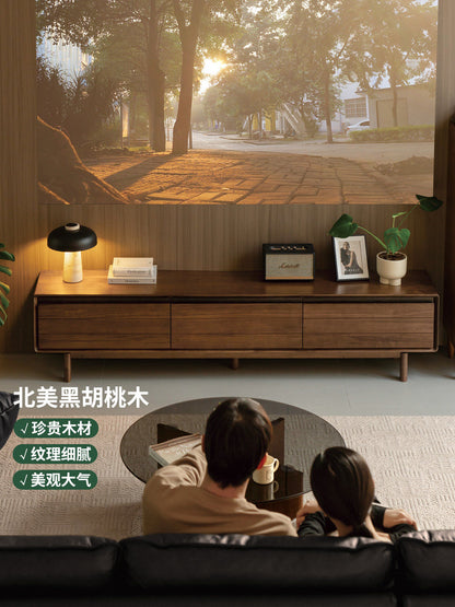 实木电视柜客厅现代简约收纳地柜黑胡桃木电视机柜