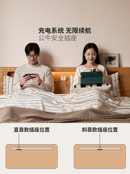 实木床现代简约大板床卧室可充电双人床多功能夜读床