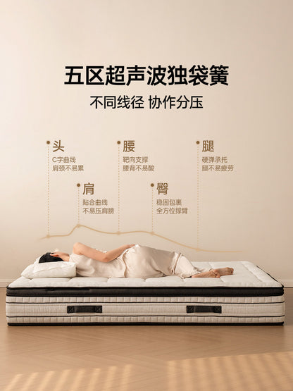 五重奏0胶水床垫分区独立弹簧厚垫特拉蕾乳胶垫海绵软垫