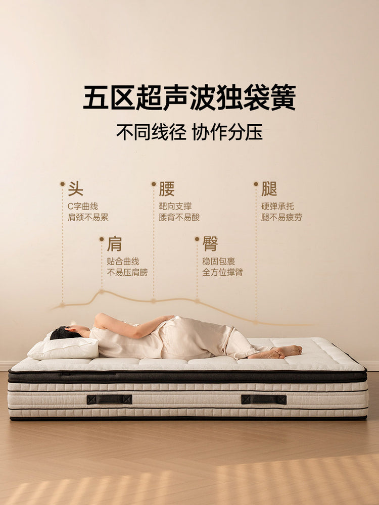 五重奏0胶水床垫分区独立弹簧厚垫特拉蕾乳胶垫海绵软垫