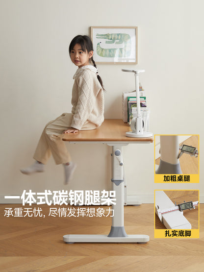实木儿童学习桌小学生写字桌洞洞板课桌升降书桌桌椅